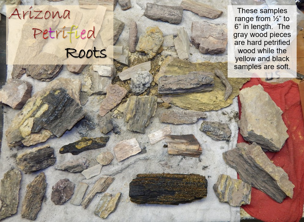 petrified slide 2 jpeg