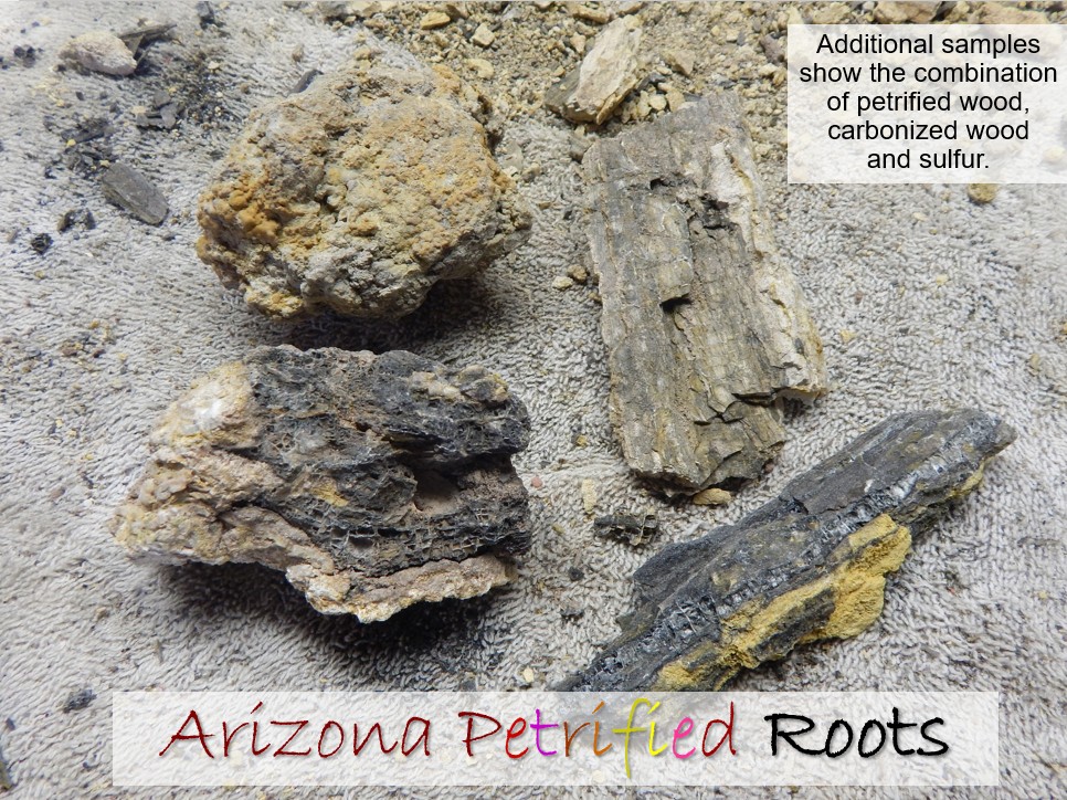 petrified slide 4 jpeg