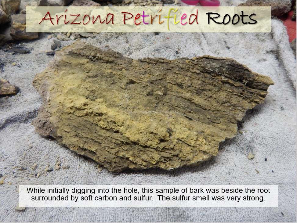 petrified slide 5 jpeg