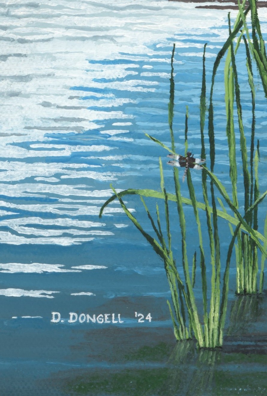 red mountain 2024 jpeg dragon fly 2