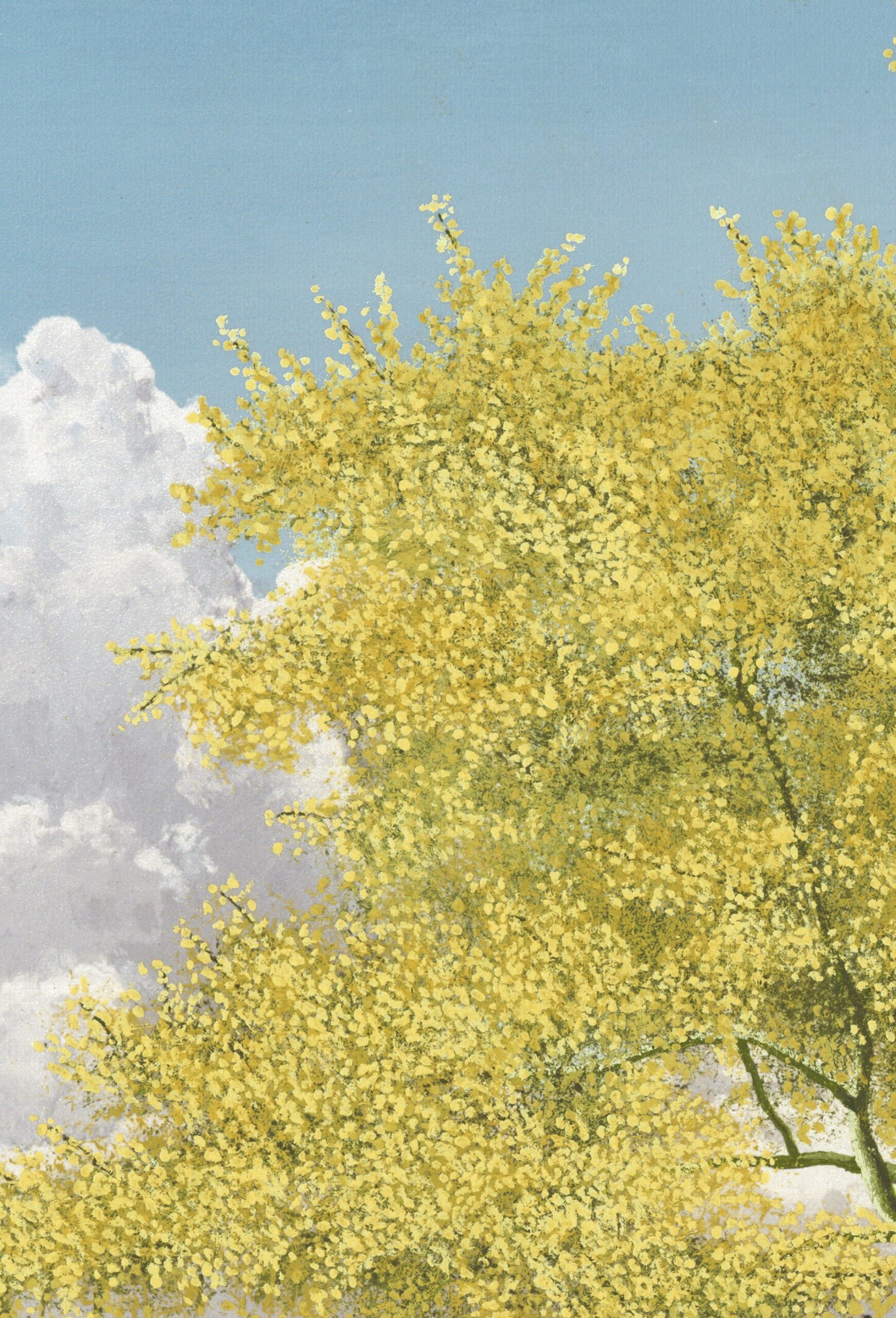 red mountain 2025 tree jpeg branch 2