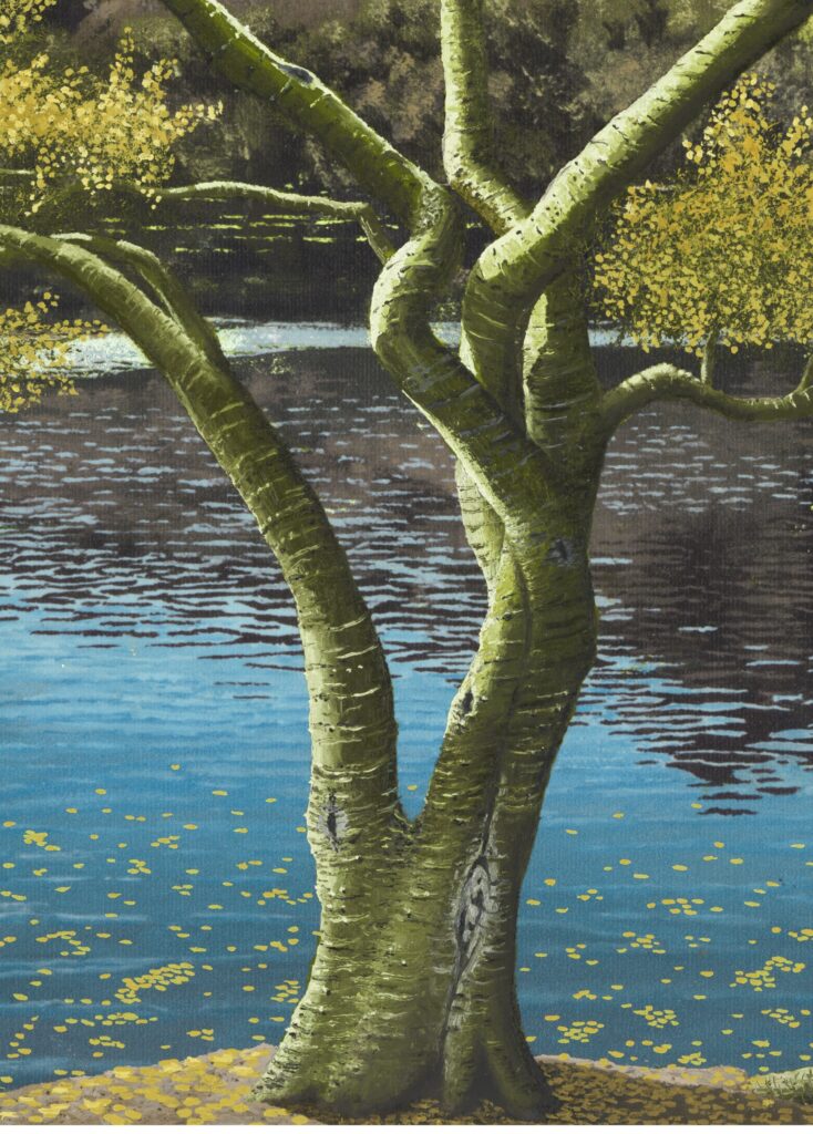 red mountain 2025 tree jpeg trunk