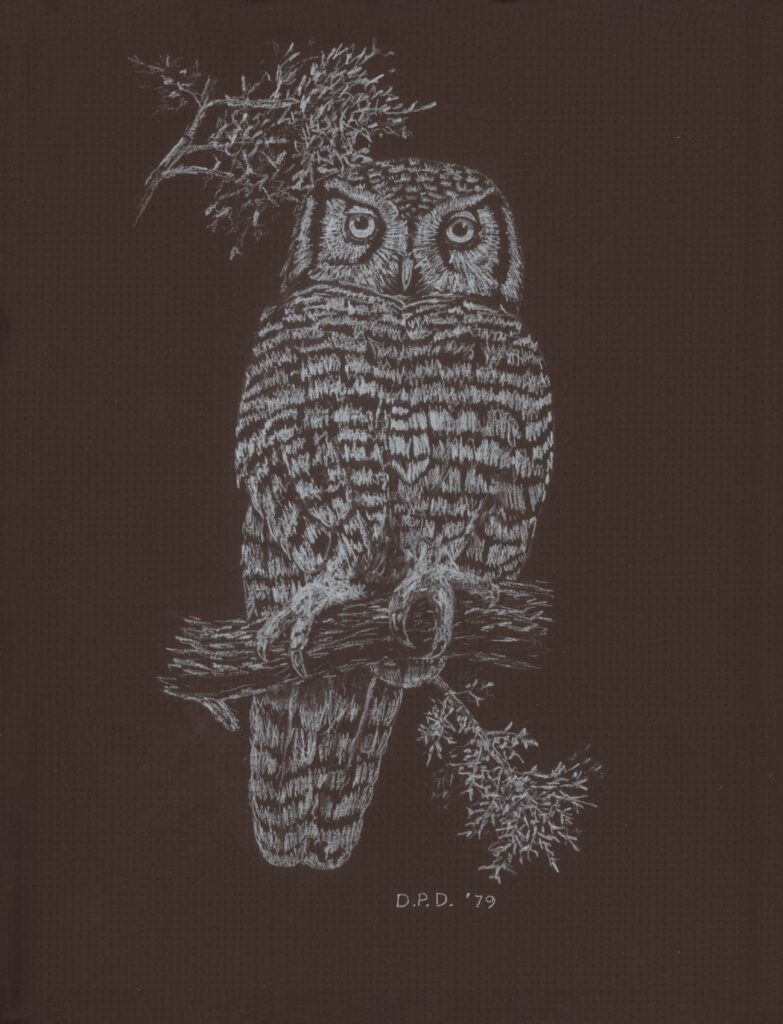 david med 1 owl jpeg