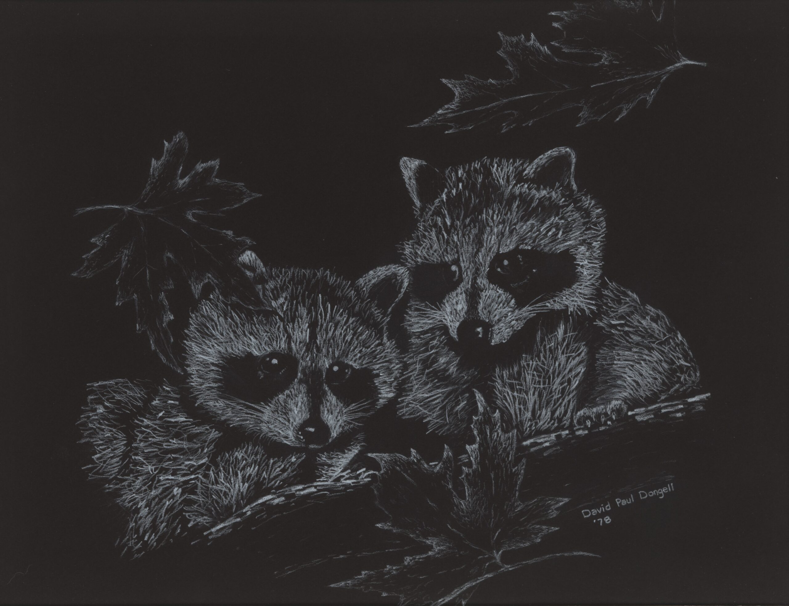 david small 3 raccoons jpeg